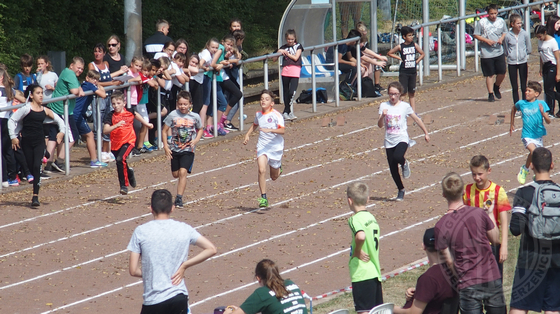 Sportfest (2017) Bild 09.jpg