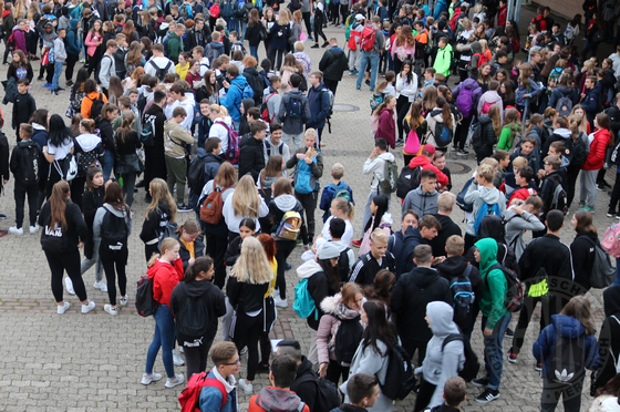 Sponsored Walk (2019) Bild 01.jpg