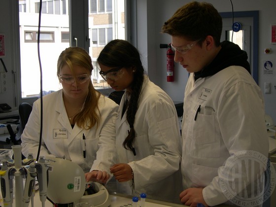 Bio-LK im JuLab (2015) Bild 06.jpg