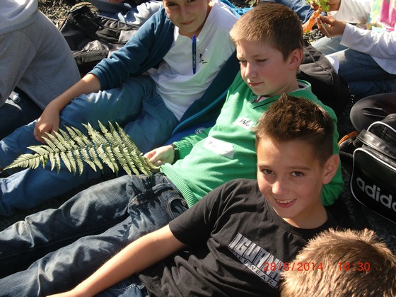 Waldtag (2014) Bild 01.jpg