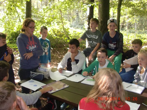 Waldtag (2014) Bild 04.jpg