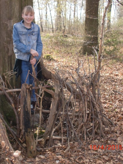 Waldtag (2015) Bild 15.jpg