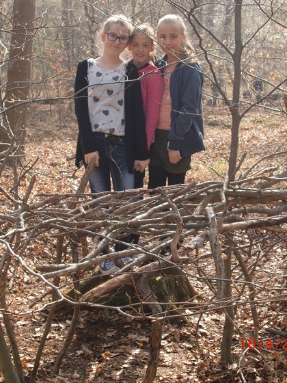 Waldtag (2015) Bild 17.jpg