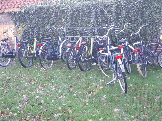 Jg 6 Ameland (2021) Bild 10.jpg