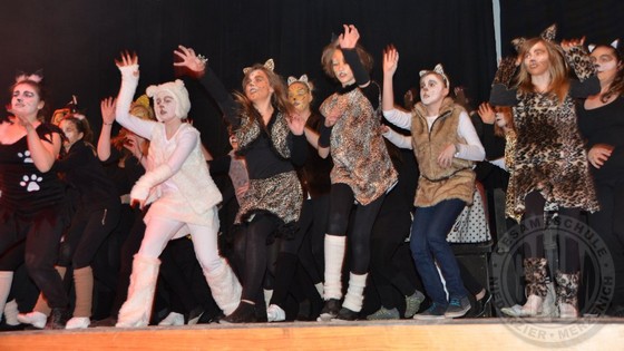 Die ''Jellicle Cats'' aus den DG-Kursen 6 sorgten für viel Applaus. Variete1