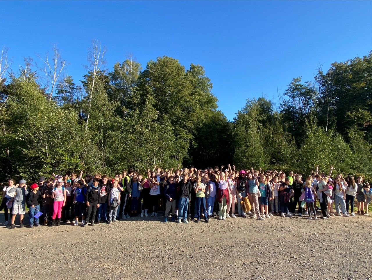 c 1. Der Jahrgang 6 beim Waldtag