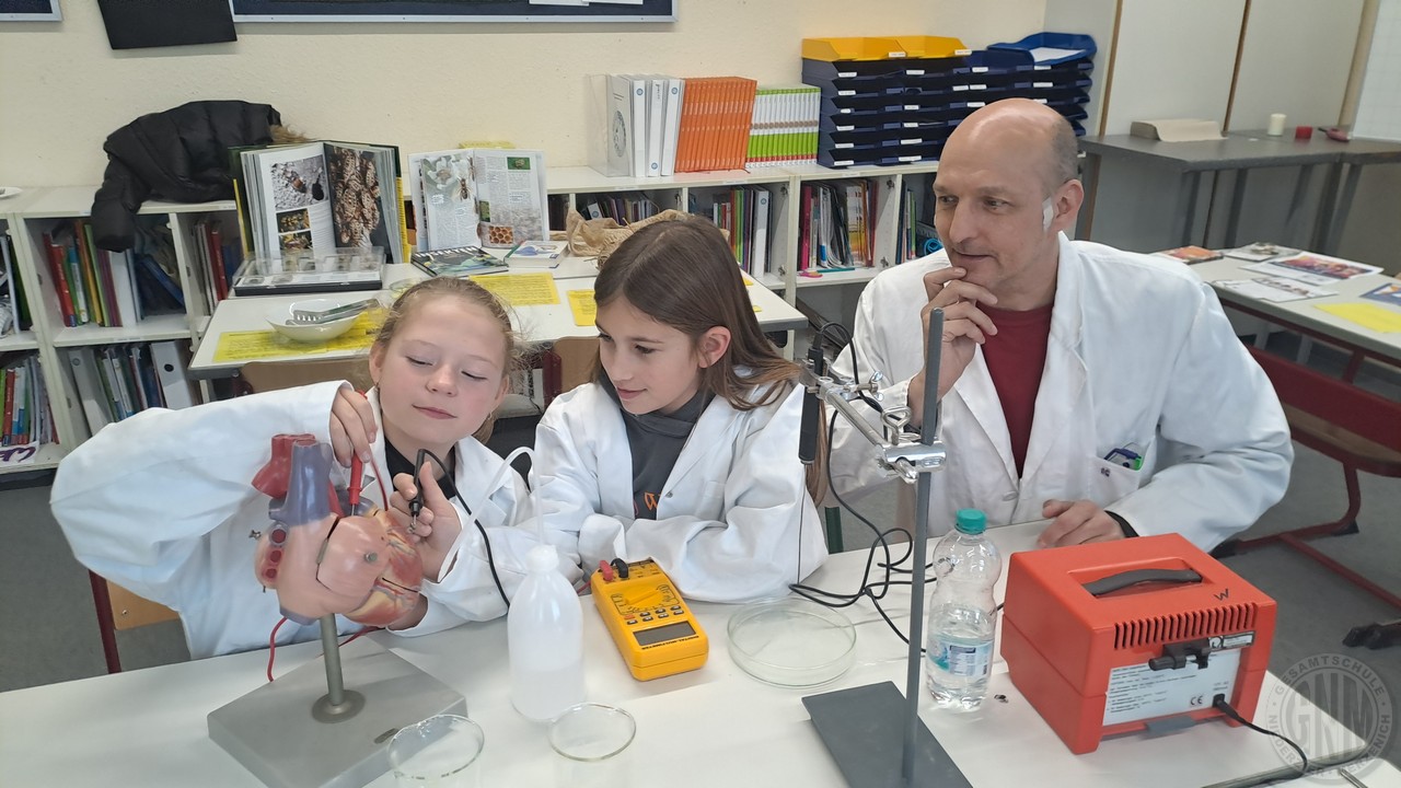 c Experimentierfreudige SchülerInnen waren hier richtig